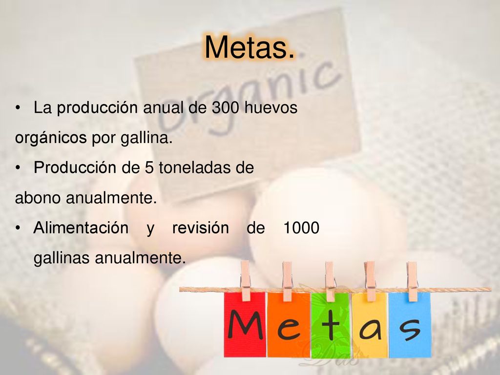 Metas. La producción anual de 300 huevos orgánicos por gallina.