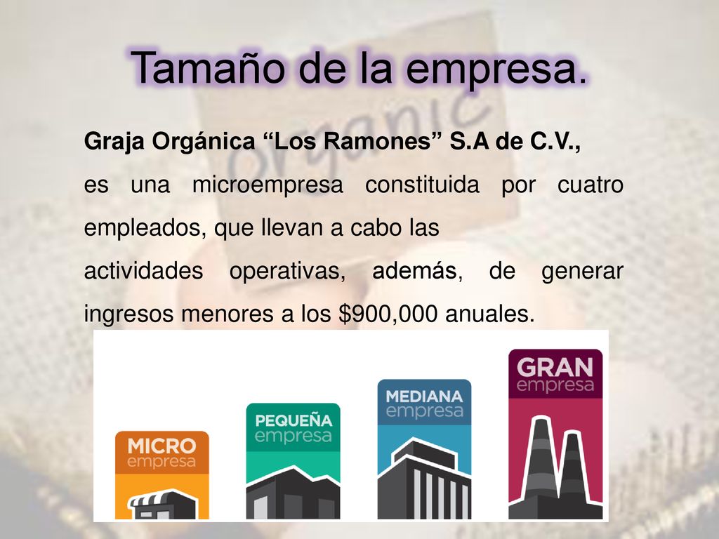 Tamaño de la empresa. Graja Orgánica Los Ramones S.A de C.V.,