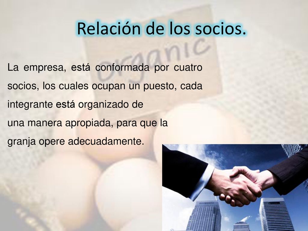 Relación de los socios. La empresa, está conformada por cuatro socios, los cuales ocupan un puesto, cada integrante está organizado de.