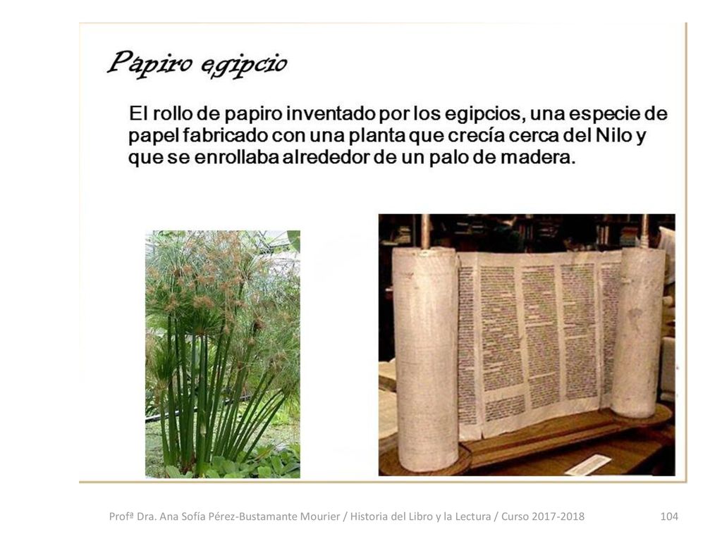 Profª Dra. Ana Sofía Pérez-Bustamante Mourier / Historia del Libro y la Lectura / Curso