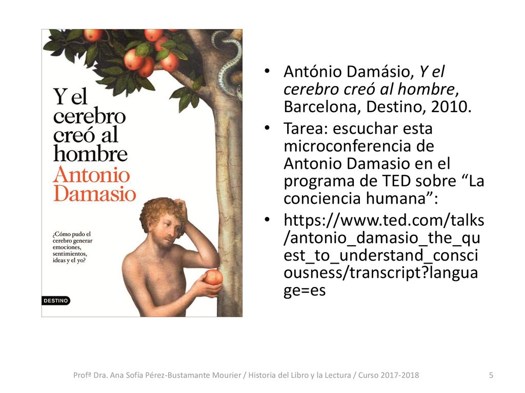 António Damásio, Y el cerebro creó al hombre, Barcelona, Destino, 2010.