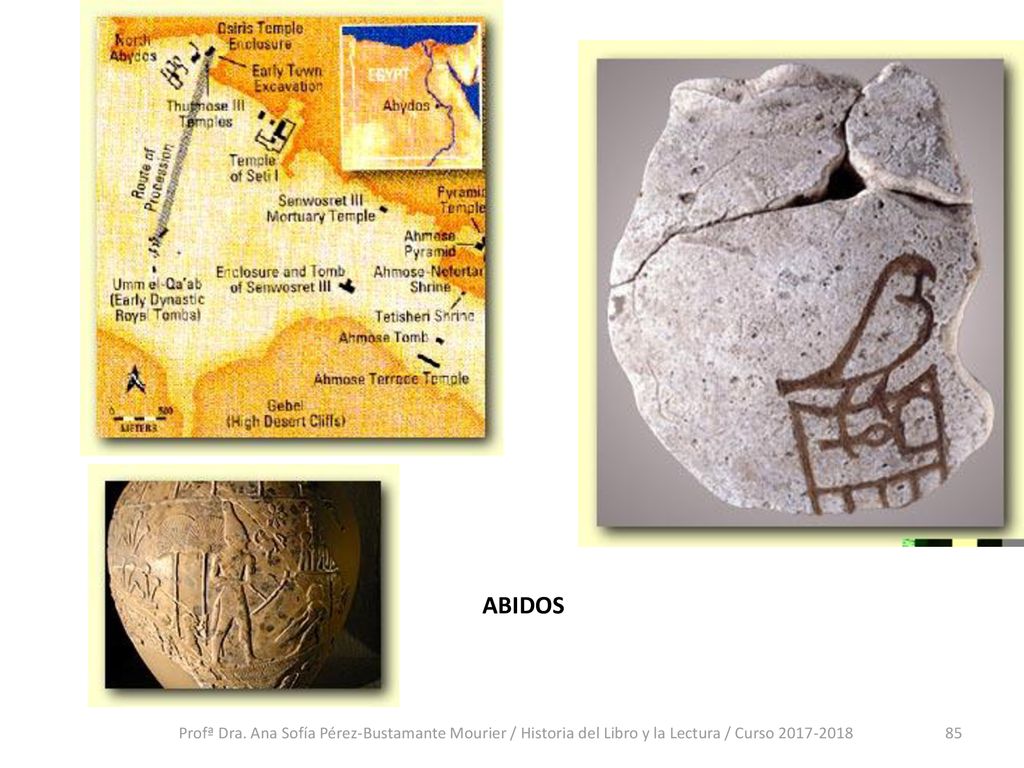 ABIDOS Profª Dra.