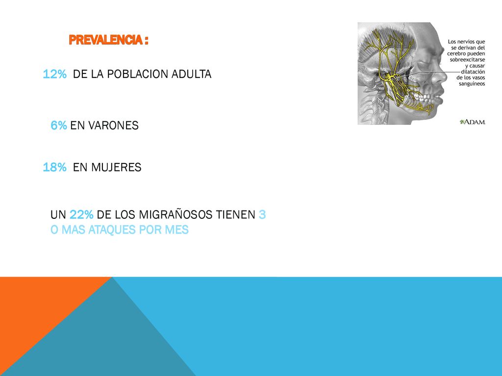 PREVALENCIA : 12% DE LA POBLACION ADULTA. 6% EN VARONES.