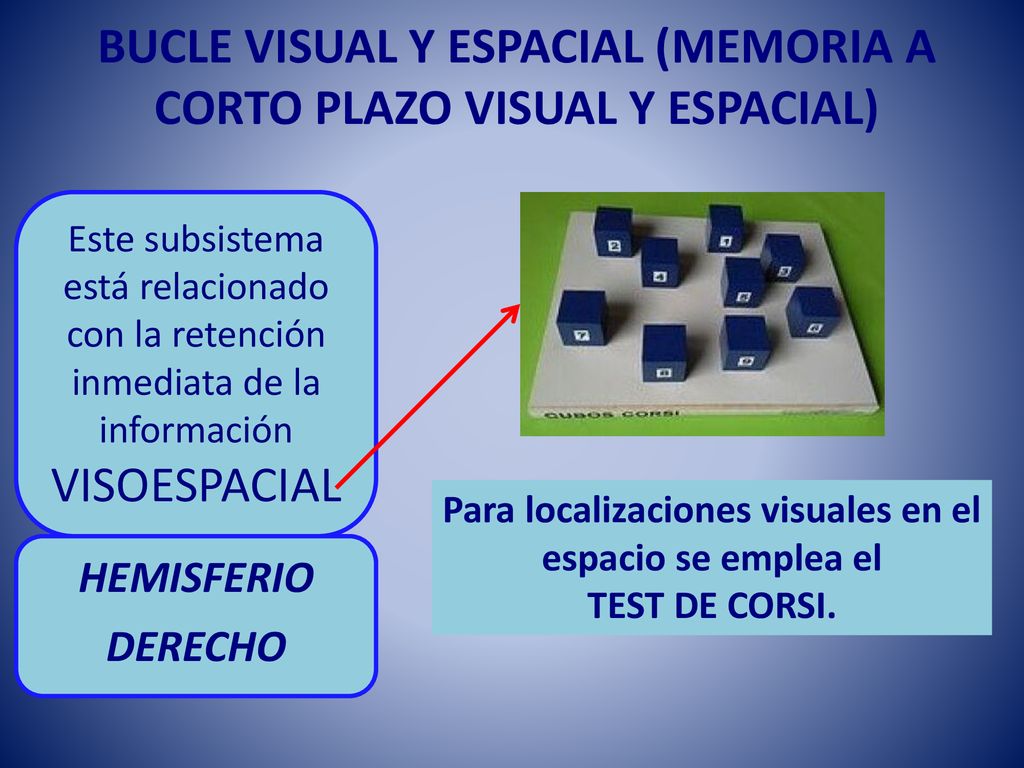 BUCLE VISUAL Y ESPACIAL (MEMORIA A CORTO PLAZO VISUAL Y ESPACIAL)