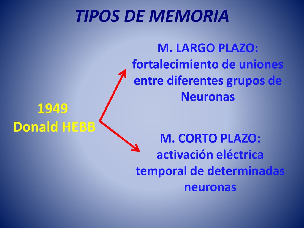 TIPOS DE MEMORIA 1949 Donald HEBB M. LARGO PLAZO: