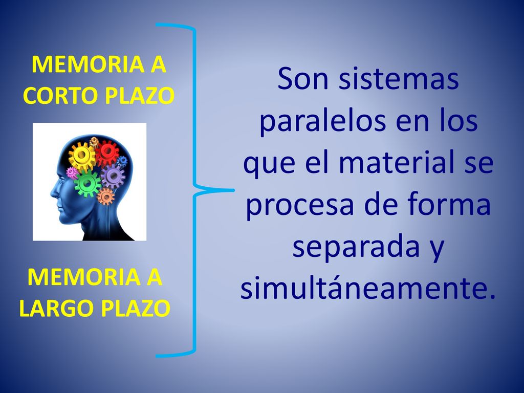 MEMORIA A CORTO PLAZO. Son sistemas paralelos en los que el material se procesa de forma separada y simultáneamente.