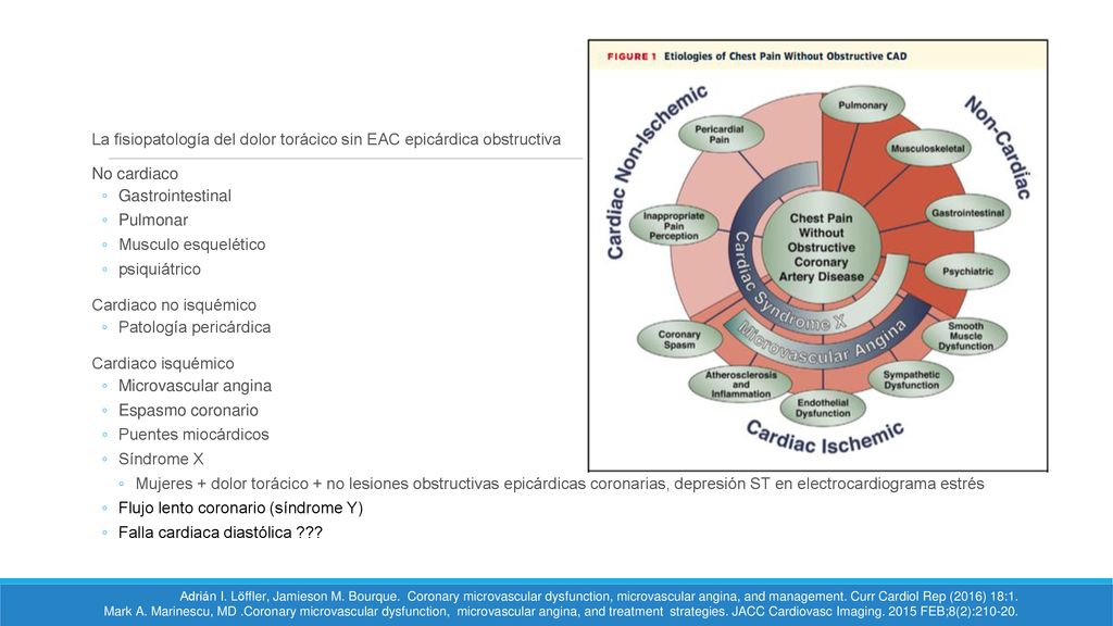 La fisiopatología del dolor torácico sin EAC epicárdica obstructiva