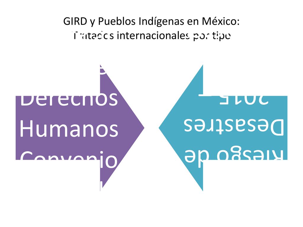 GIRD y Pueblos Indígenas en México: Tratados internacionales por tipo