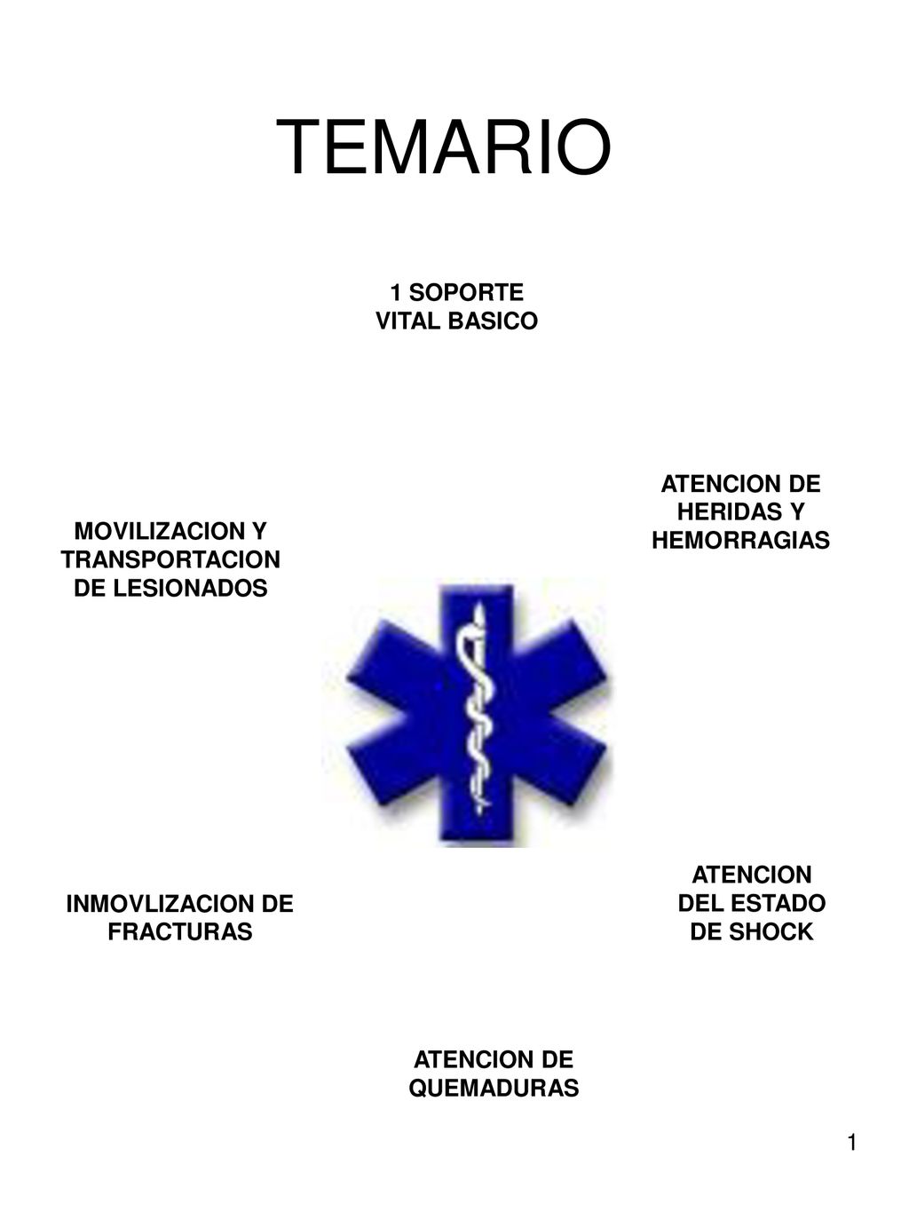 TEMARIO 1 SOPORTE VITAL BASICO ATENCION DE HERIDAS Y HEMORRAGIAS
