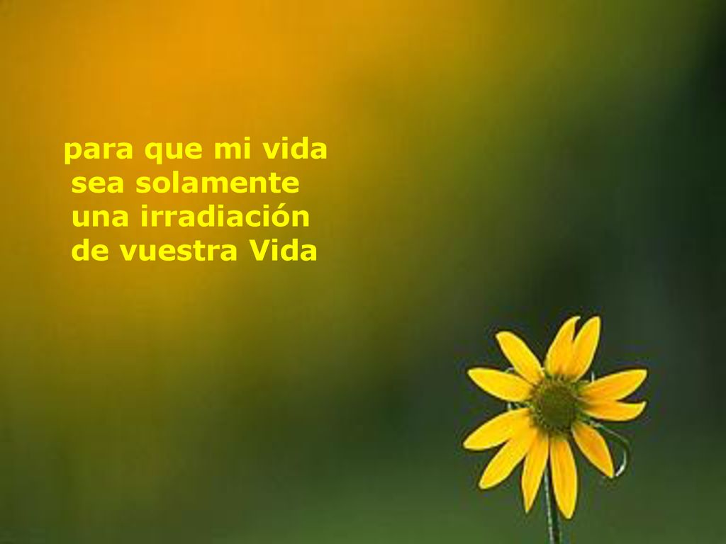 para que mi vida sea solamente una irradiación de vuestra Vida