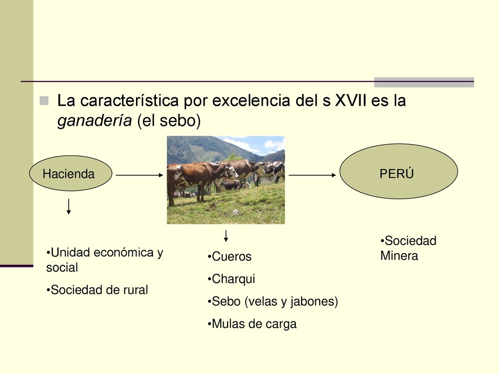 La característica por excelencia del s XVII es la ganadería (el sebo)