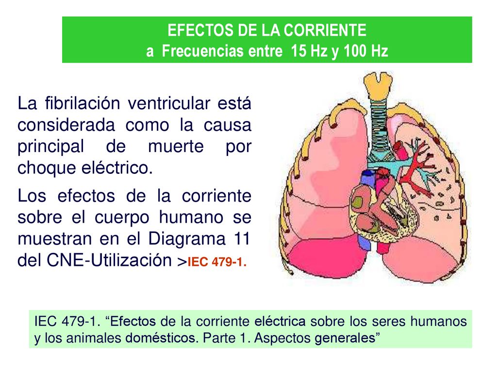 EFECTOS DE LA CORRIENTE a Frecuencias entre 15 Hz y 100 Hz
