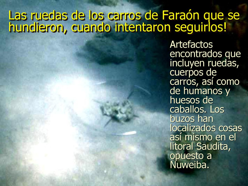 Las ruedas de los carros de Faraón que se hundieron, cuando intentaron seguirlos!