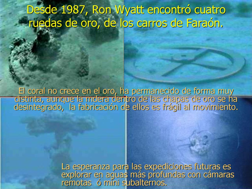 Desde 1987, Ron Wyatt encontró cuatro ruedas de oro, de los carros de Faraón.
