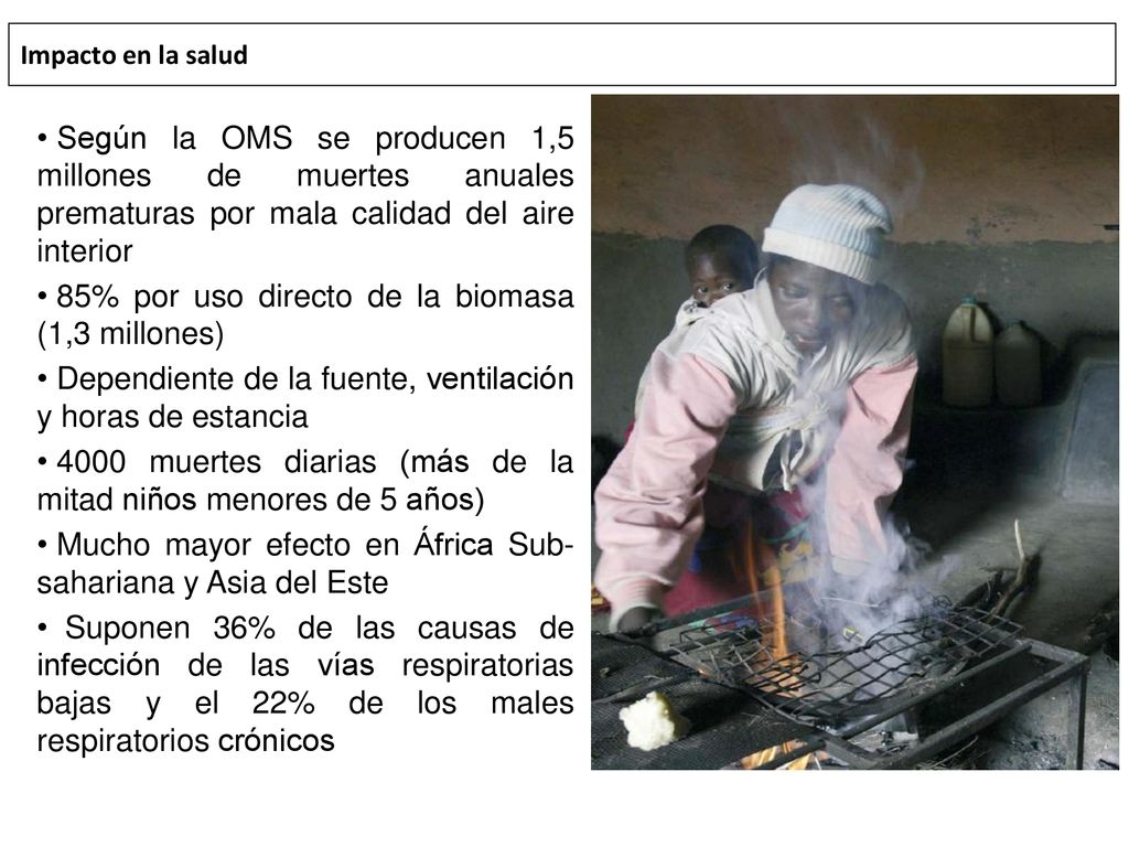 85% por uso directo de la biomasa (1,3 millones)