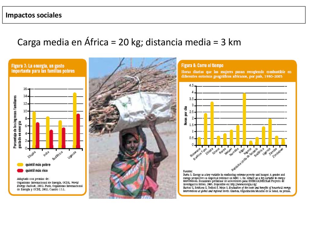 Carga media en África = 20 kg; distancia media = 3 km