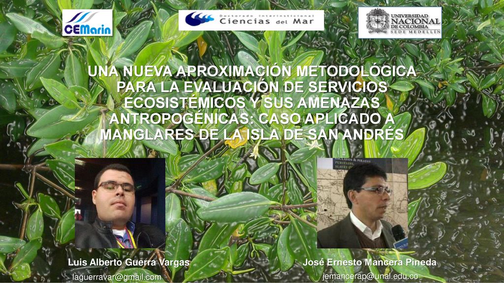 UNA NUEVA APROXIMACIÓN METODOLÓGICA PARA LA EVALUACIÓN DE SERVICIOS ECOSISTÉMICOS Y SUS AMENAZAS ANTROPOGÉNICAS: CASO APLICADO A MANGLARES DE LA ISLA DE SAN ANDRÉS
