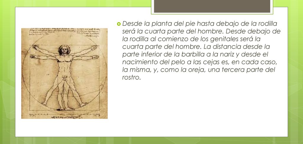 Desde la planta del pie hasta debajo de la rodilla será la cuarta parte del hombre.
