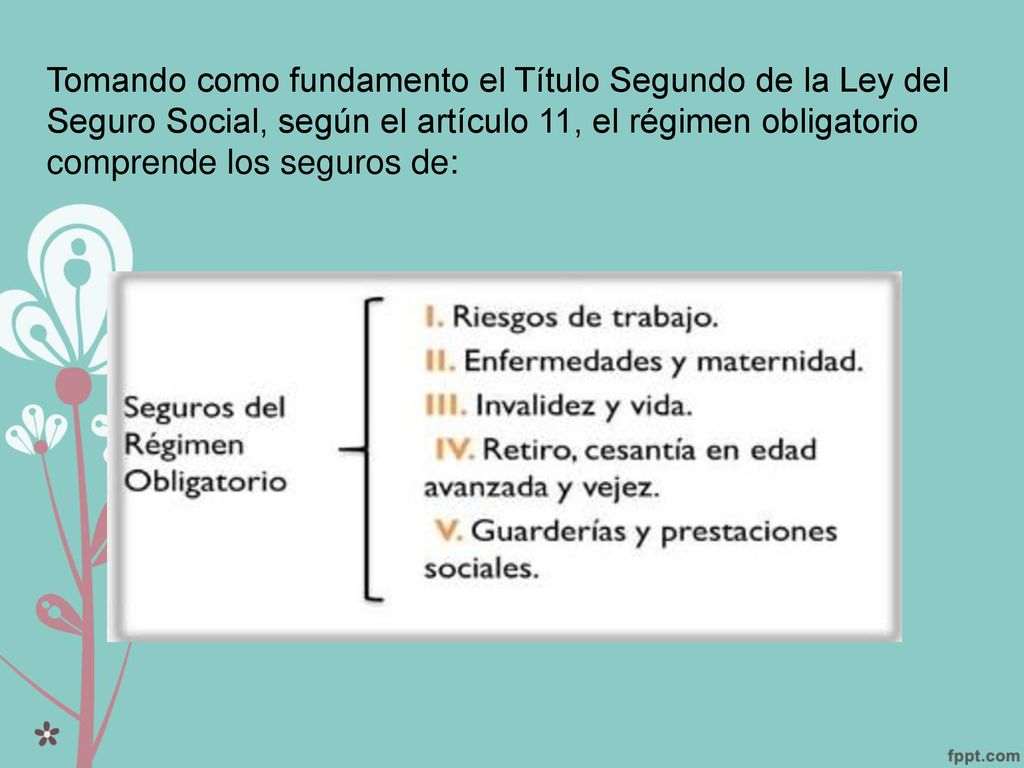 Tomando como fundamento el Título Segundo de la Ley del Seguro Social, según el artículo 11, el régimen obligatorio comprende los seguros de: