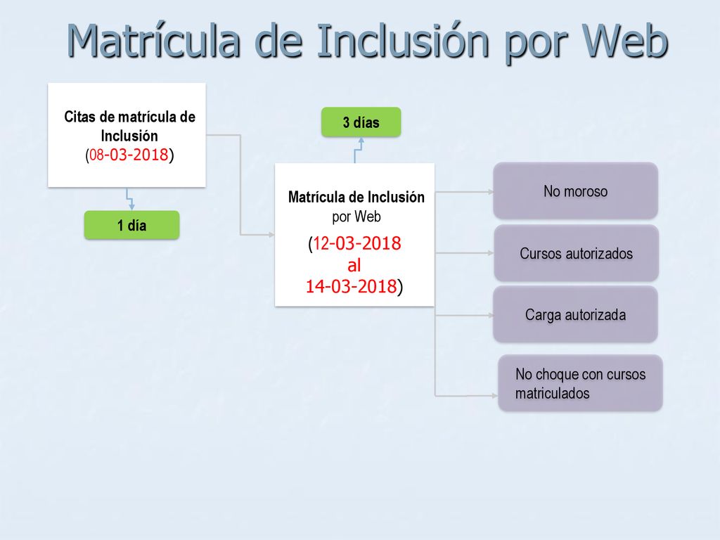 Matrícula de Inclusión por Web