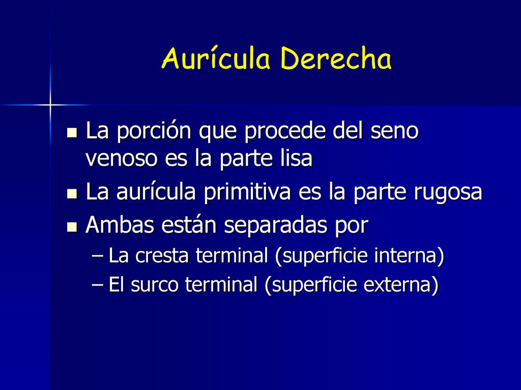 Aurícula Derecha La porción que procede del seno venoso es la parte lisa. La aurícula primitiva es la parte rugosa.