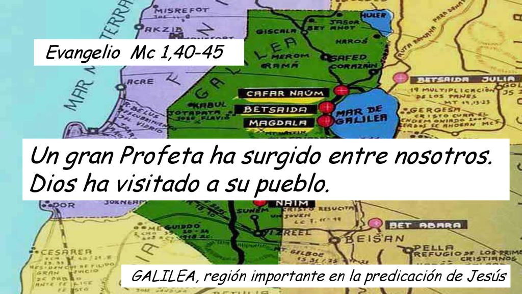 Evangelio Mc 1,40-45 Un gran Profeta ha surgido entre nosotros. Dios ha visitado a su pueblo.