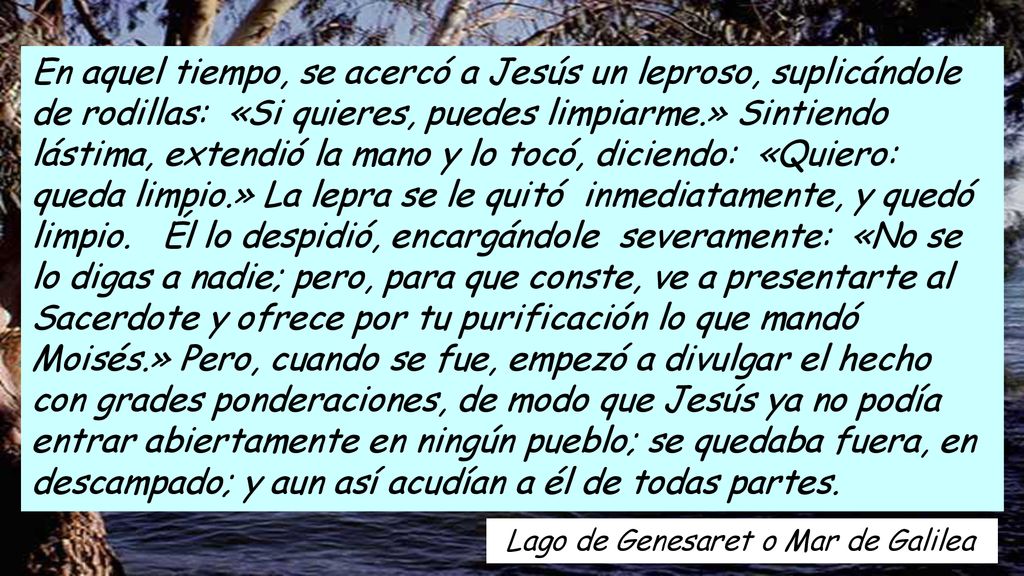 En aquel tiempo, se acercó a Jesús un leproso, suplicándole