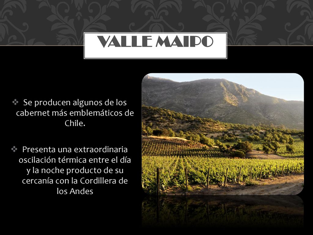 Se producen algunos de los cabernet más emblemáticos de Chile.