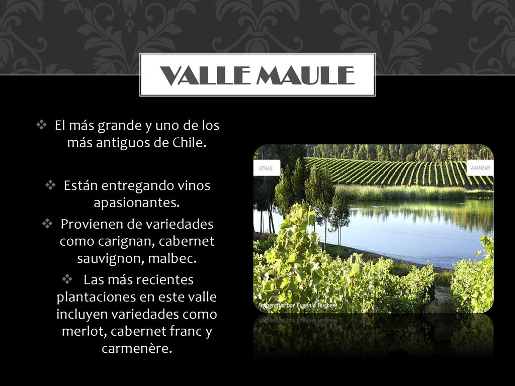 Valle Maule El más grande y uno de los más antiguos de Chile.
