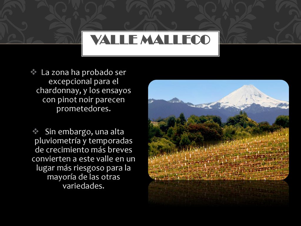 Valle Malleco La zona ha probado ser excepcional para el chardonnay, y los ensayos con pinot noir parecen prometedores.