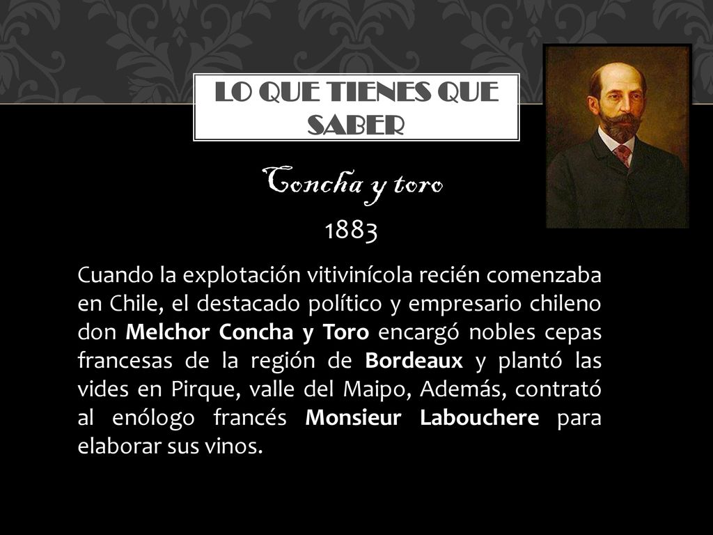 Concha y toro Lo que tienes que saber 1883