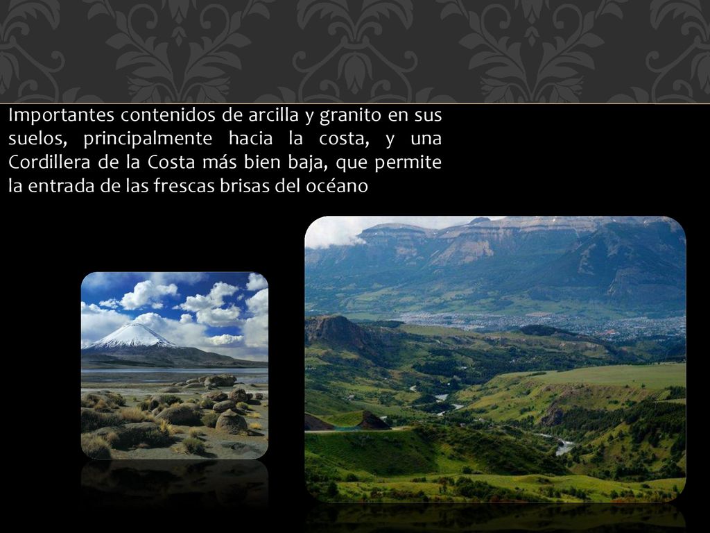 Importantes contenidos de arcilla y granito en sus suelos, principalmente hacia la costa, y una Cordillera de la Costa más bien baja, que permite la entrada de las frescas brisas del océano