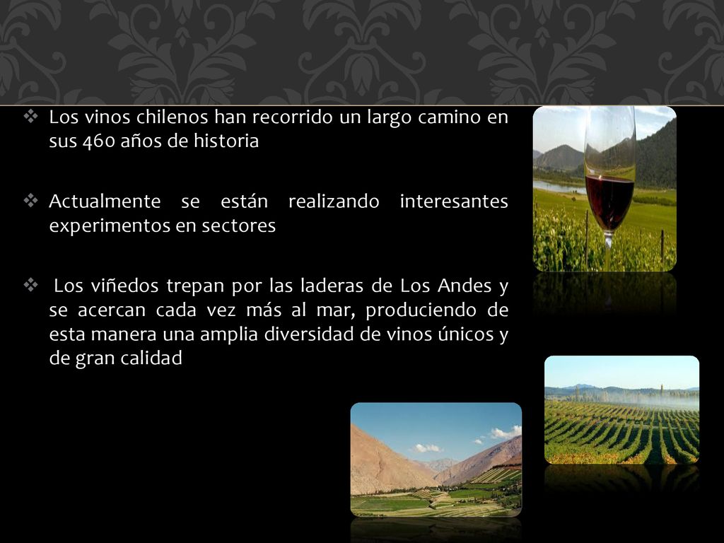 Los vinos chilenos han recorrido un largo camino en sus 460 años de historia
