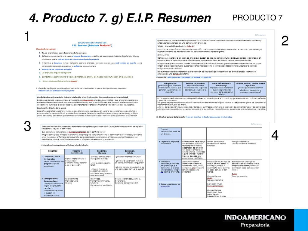 4. Producto 7. g) E.I.P. Resumen