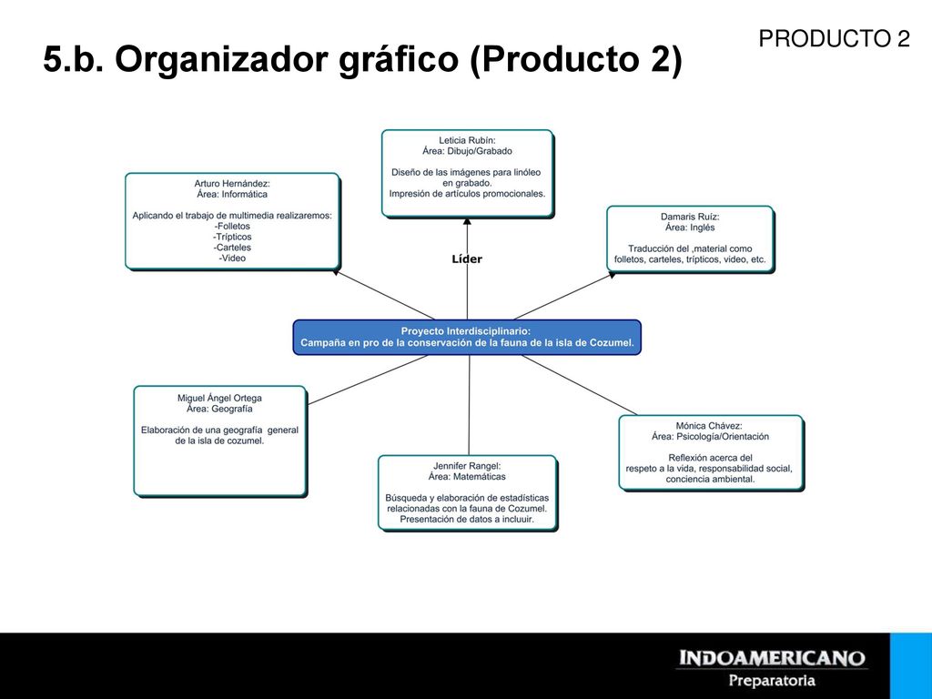 5.b. Organizador gráfico (Producto 2)