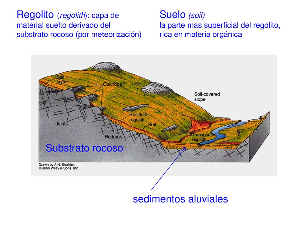Regolito (regolith): capa de material suelto derivado del substrato rocoso (por meteorización)