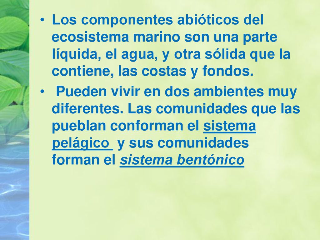 Los componentes abióticos del ecosistema marino son una parte líquida, el agua, y otra sólida que la contiene, las costas y fondos.