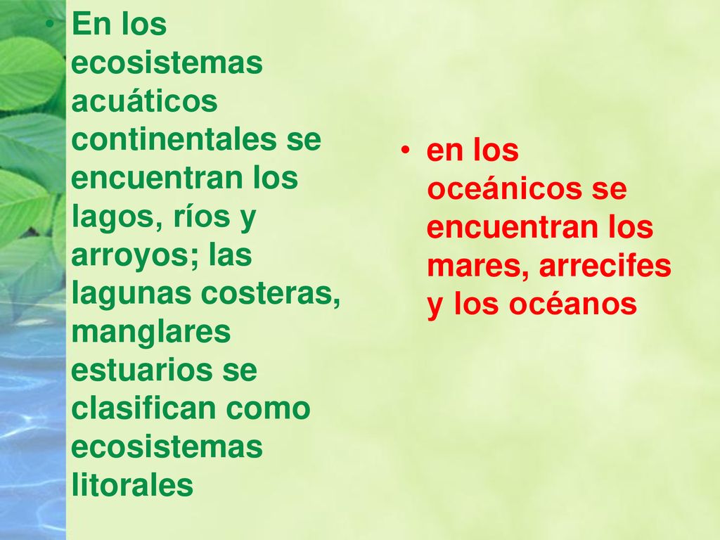 En los ecosistemas acuáticos continentales se encuentran los lagos, ríos y arroyos; las lagunas costeras, manglares estuarios se clasifican como ecosistemas litorales