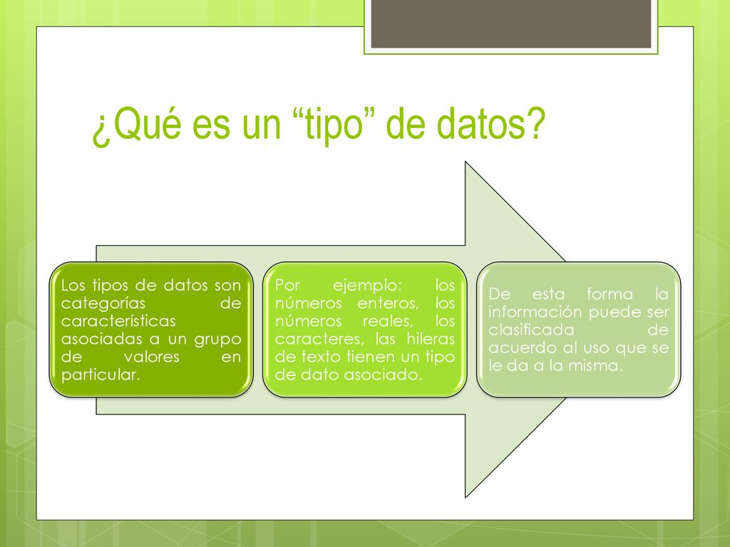 ¿Qué es un tipo de datos