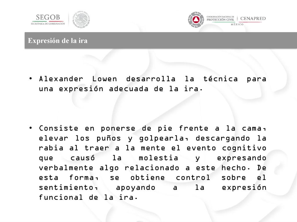 Expresión de la ira Alexander Lowen desarrolla la técnica para una expresión adecuada de la ira.