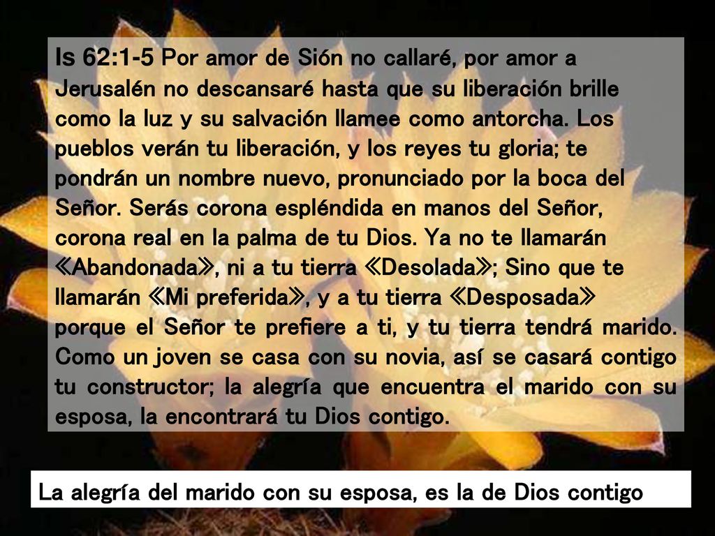 Is 62:1-5 Por amor de Sión no callaré, por amor a Jerusalén no descansaré hasta que su liberación brille como la luz y su salvación llamee como antorcha. Los pueblos verán tu liberación, y los reyes tu gloria; te pondrán un nombre nuevo, pronunciado por la boca del Señor. Serás corona espléndida en manos del Señor, corona real en la palma de tu Dios. Ya no te llamarán «Abandonada», ni a tu tierra «Desolada»; Sino que te llamarán «Mi preferida», y a tu tierra «Desposada»
