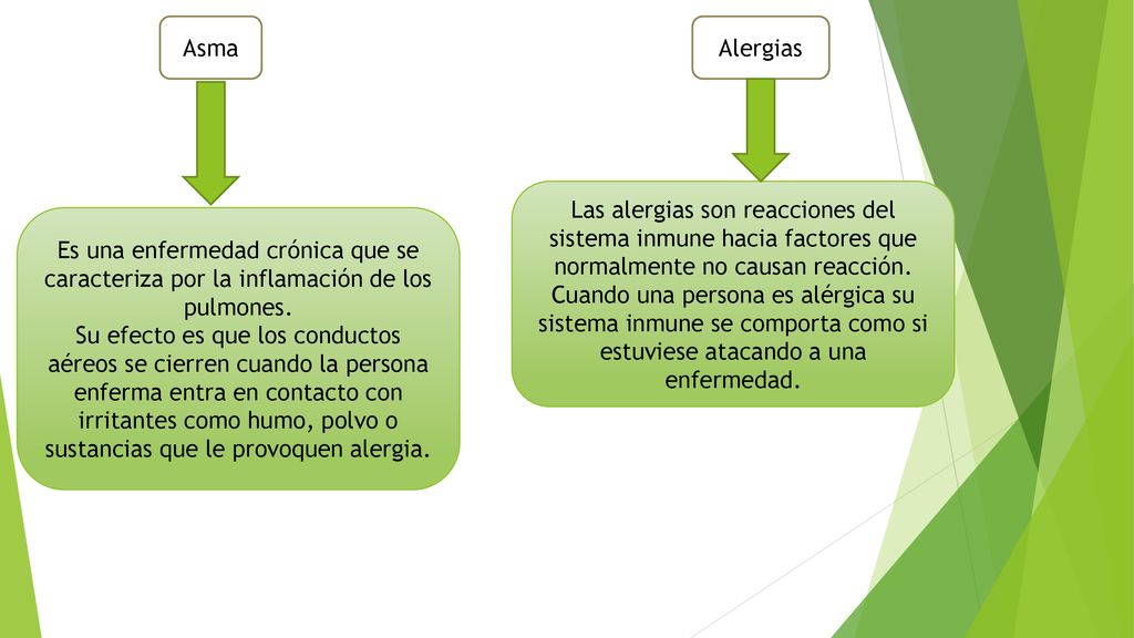 Asma Alergias. Las alergias son reacciones del sistema inmune hacia factores que normalmente no causan reacción.