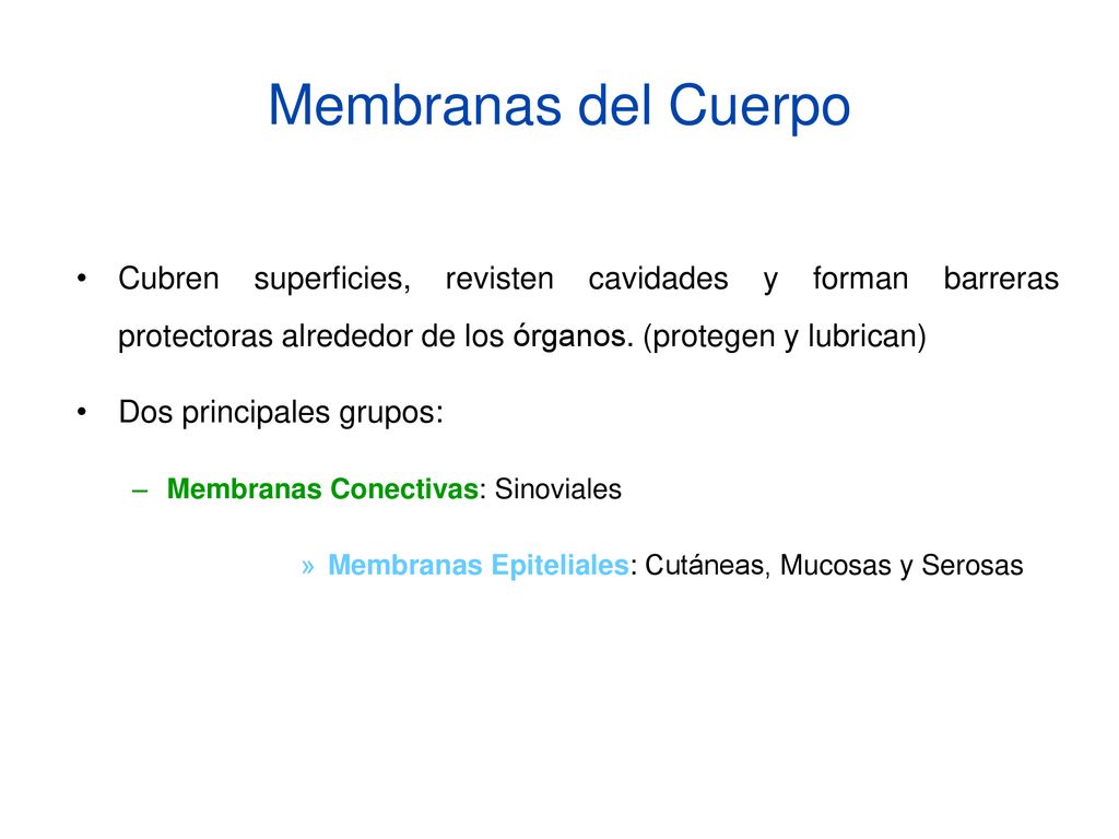 Membranas del Cuerpo Cubren superficies, revisten cavidades y forman barreras protectoras alrededor de los órganos. (protegen y lubrican)