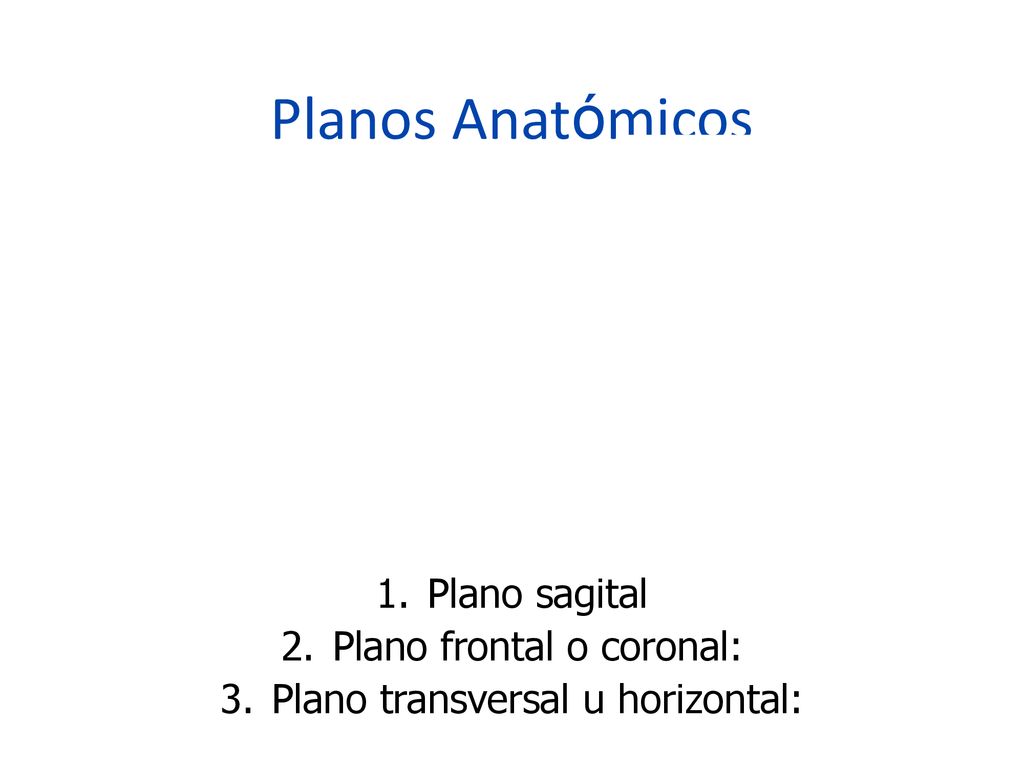 Planos Anatómicos Plano sagital Plano frontal o coronal: