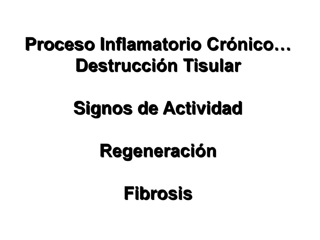 Proceso Inflamatorio Crónico… Destrucción Tisular Signos de Actividad Regeneración Fibrosis
