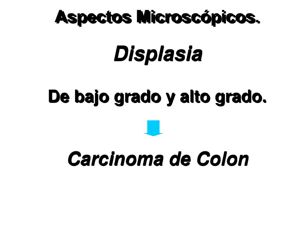 Displasia De bajo grado y alto grado. Carcinoma de Colon