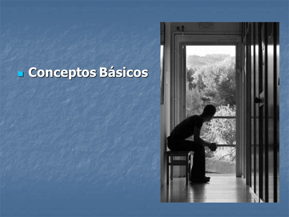 Conceptos Básicos