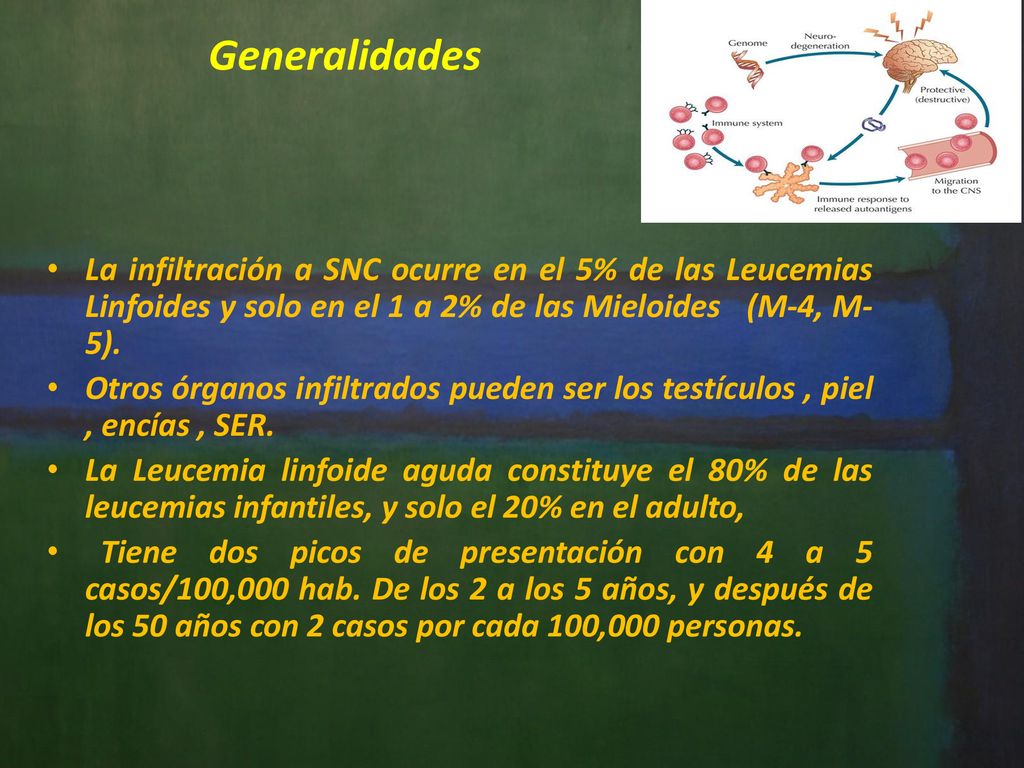 Generalidades La infiltración a SNC ocurre en el 5% de las Leucemias Linfoides y solo en el 1 a 2% de las Mieloides (M-4, M-5).