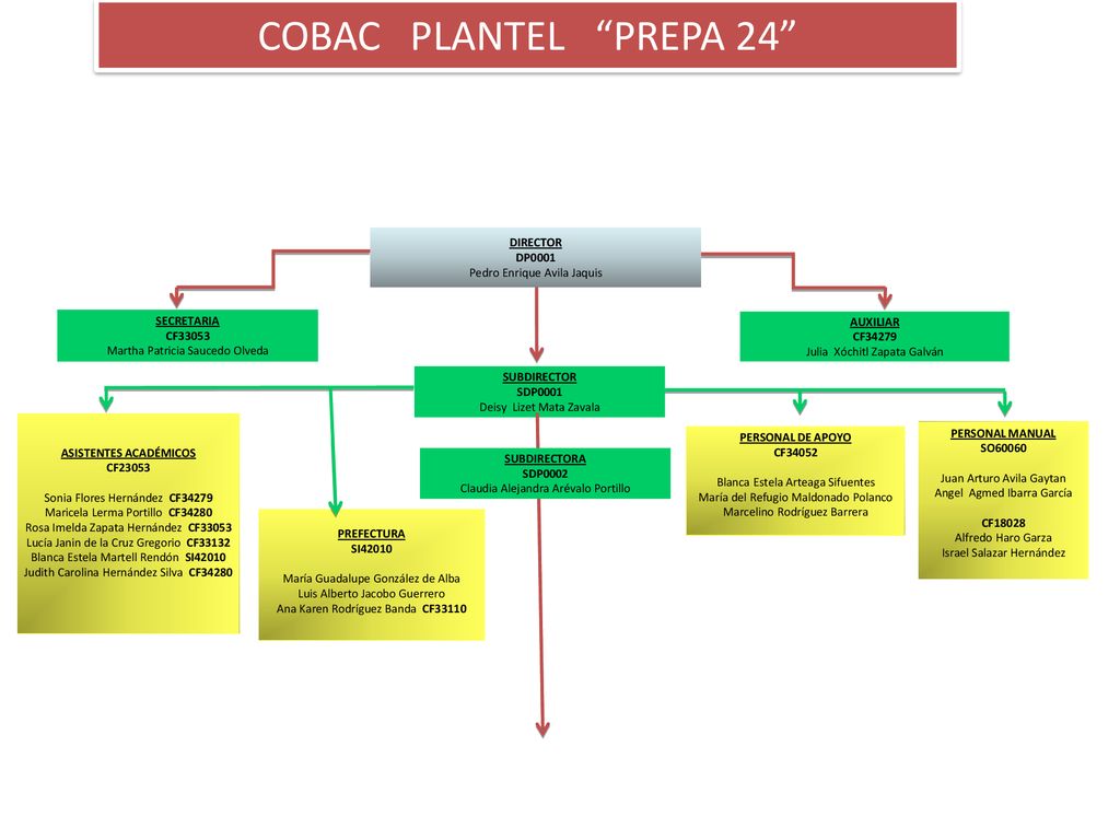 COBAC PLANTEL PREPA 24 DIRECTOR DP0001 Pedro Enrique Avila Jaquis