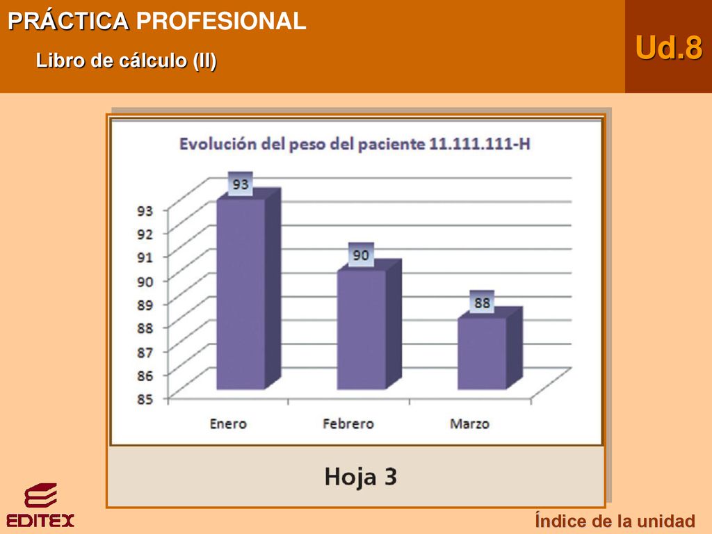 PRÁCTICA PROFESIONAL Libro de cálculo (II) Ud.8 Índice de la unidad